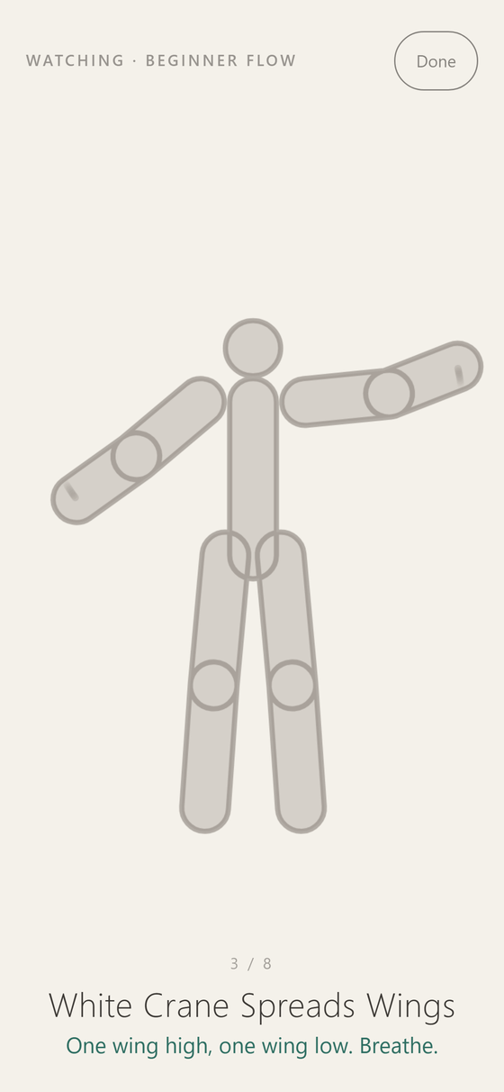 GhostFlow watch mode: a grey ghost figure in the White Crane Spreads Wings posture, captioned with the pose name and hint, with no camera in use